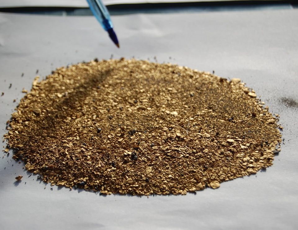 Placer gold, production from Shama creek